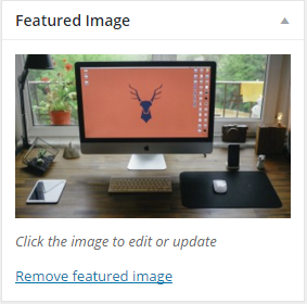 WordPress remove featured image