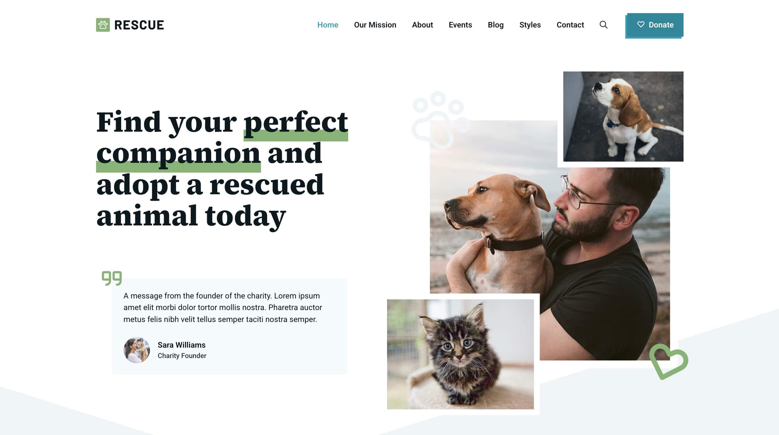 rescue-starter-site-homepage Rescue Starter Site homepage