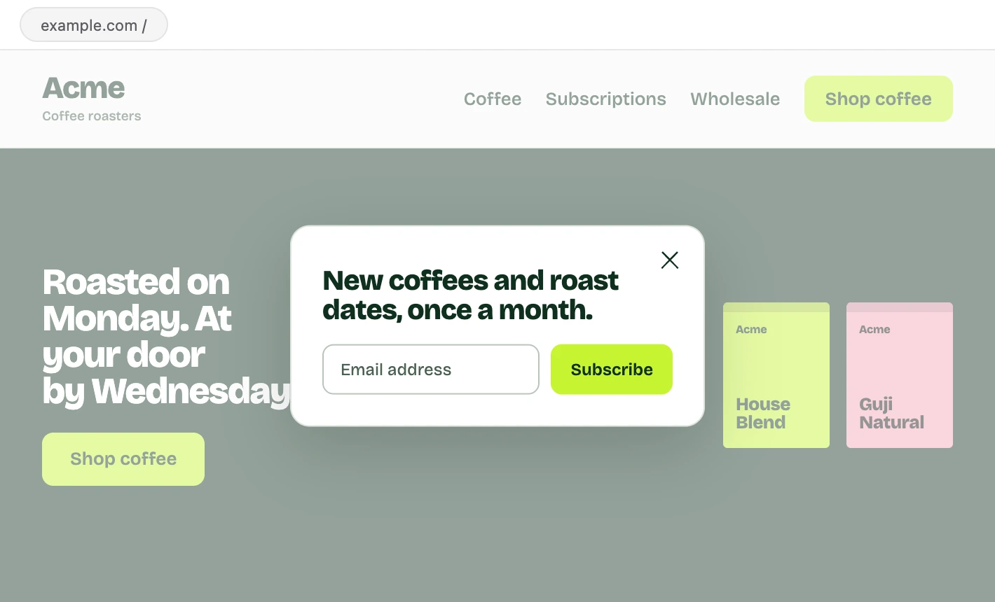 A newsletter popup open over Acme’s home page, with an email field and a Subscribe button